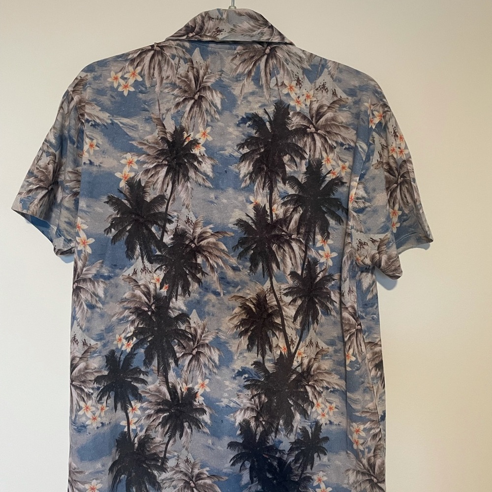 Palm Trees - image 3